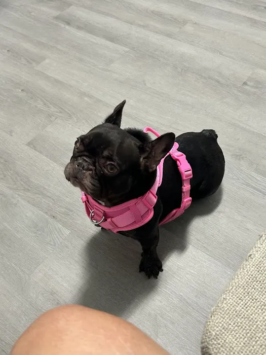 Apex Veterinary Hospital Picture 8