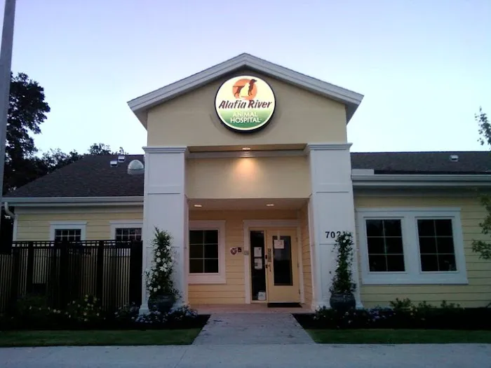 Alafia River Animal Hospital Picture 2