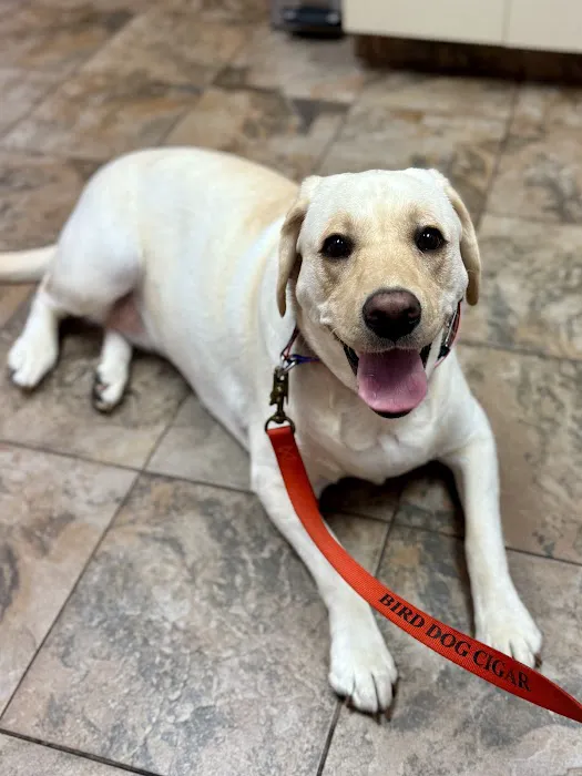 Fox & Friends Animal Hospital Picture 3