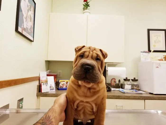 Fox & Friends Animal Hospital Picture 4