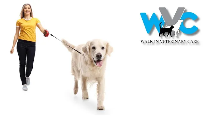Walk-In Veterinary Care Picture 1