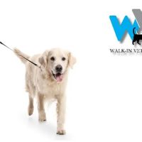Walk-In Veterinary Care ico