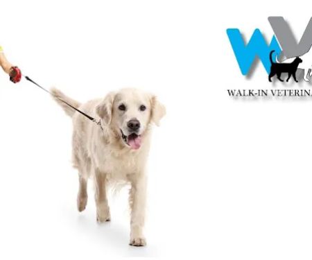 Walk-In Veterinary Care
