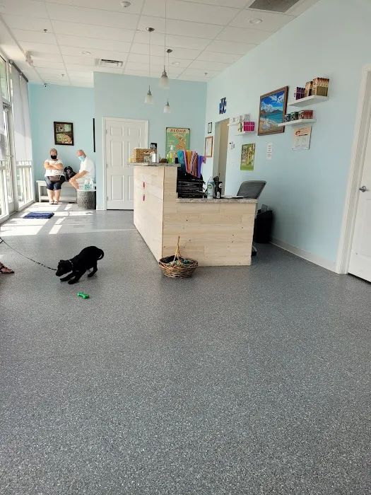 Sun City Center Veterinary Clinic Picture 5