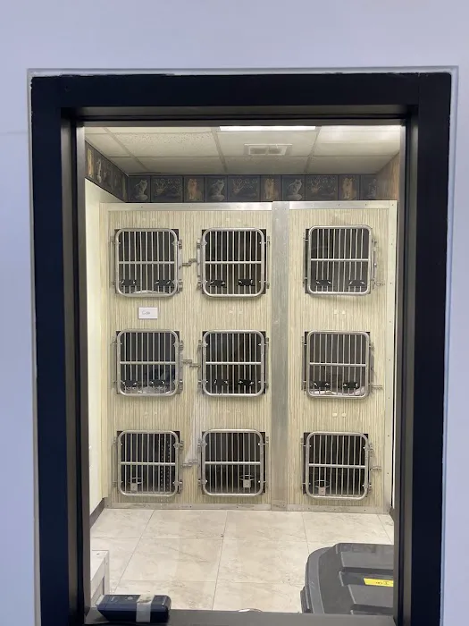 Cat Thyroid Center Picture 8
