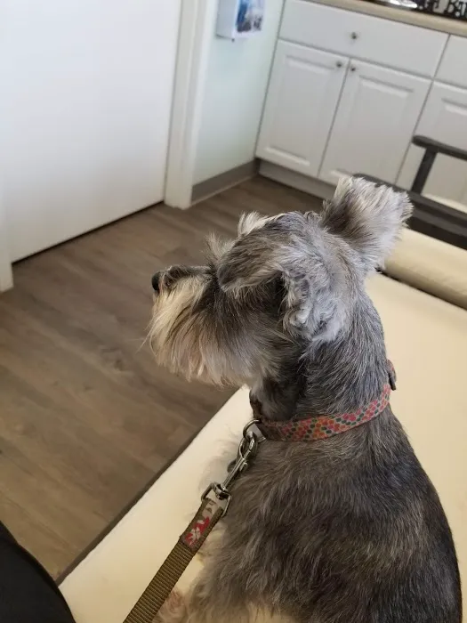 River Ridge Animal Clinic Picture 9
