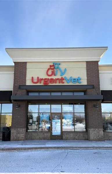UrgentVet Picture 3