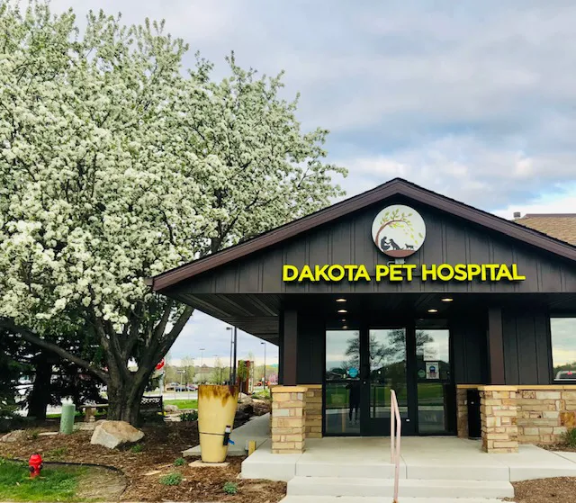 Dakota Pet Hospital Picture 2