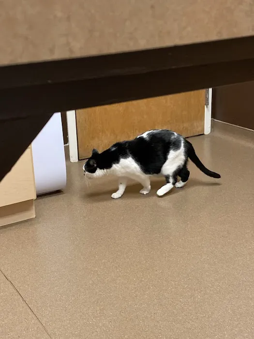 Dakota Pet Hospital Picture 4
