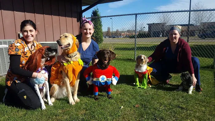 Dakota Pet Hospital Picture 5