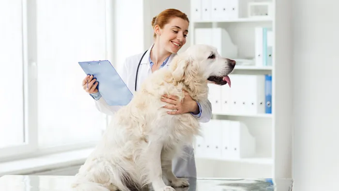 Dakota Pet Hospital Picture 6