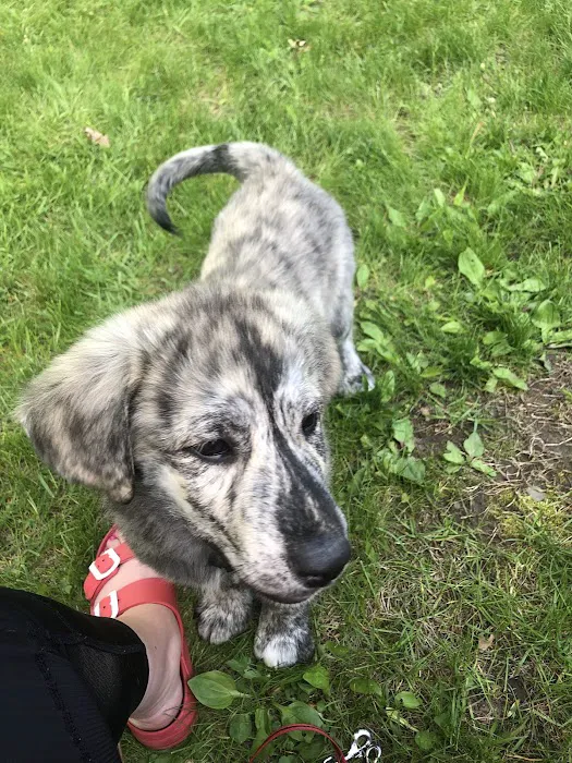 Dakota Pet Hospital Picture 8