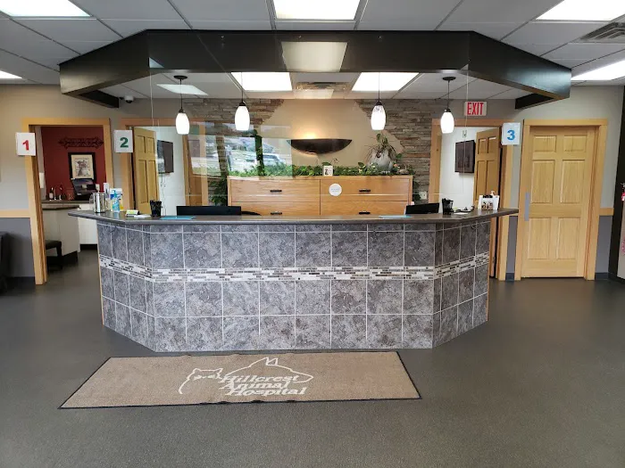 Hillcrest Animal Hospital Picture 5