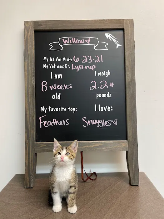 Hillcrest Animal Hospital Picture 2