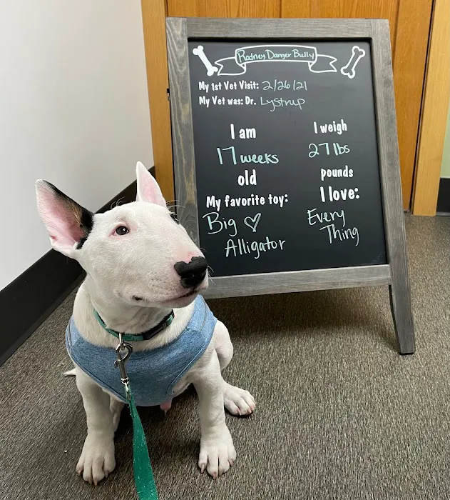 Hillcrest Animal Hospital Picture 7