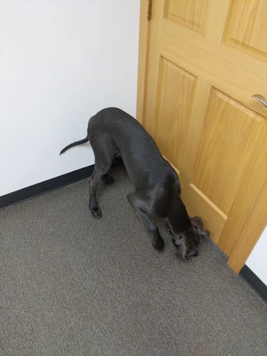 Hillcrest Animal Hospital Picture 8