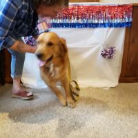 Croix Valley Veterinary Hospital ico