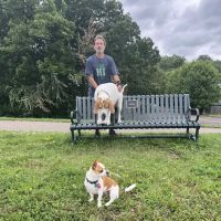 Lakeland Veterinary Hospital ico
