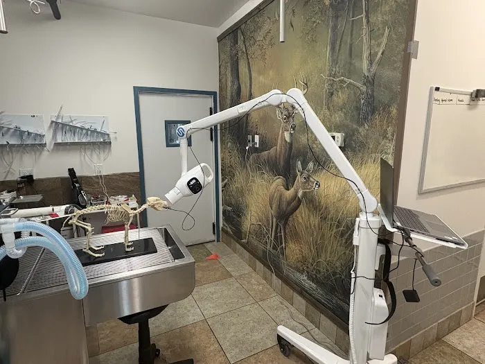 Animal Care Center of Hudson Picture 1
