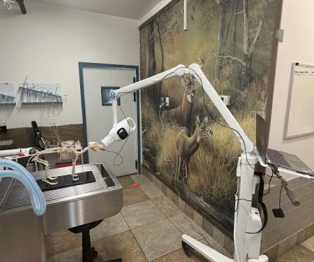 Animal Care Center of Hudson