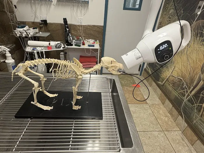 Animal Care Center of Hudson Picture 2