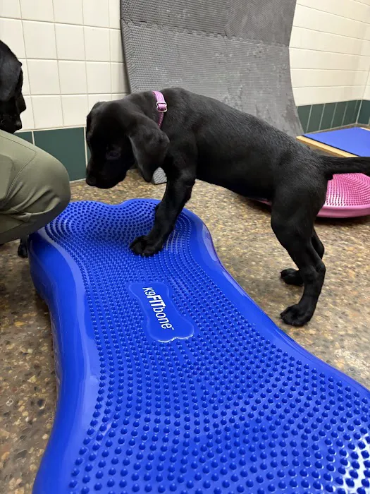 Animal Care Center of Hudson Picture 4