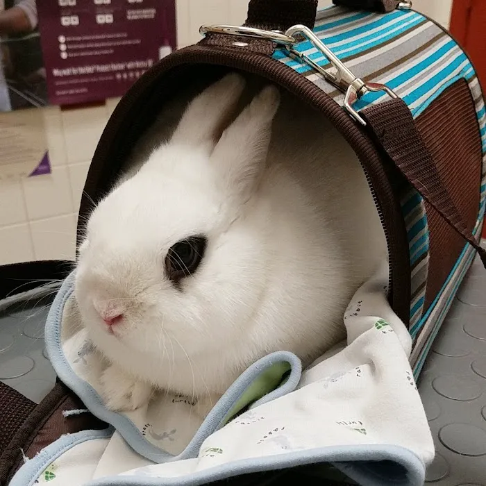Animal Care Center of Hudson Picture 6