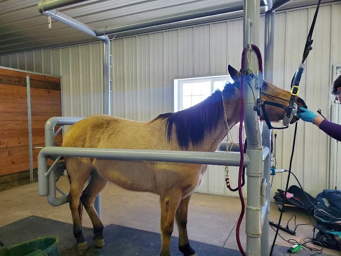 Sunrise Equine Veterinary Services Picture 3