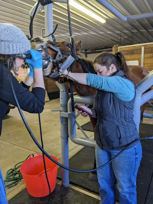 Sunrise Equine Veterinary Services Picture 6