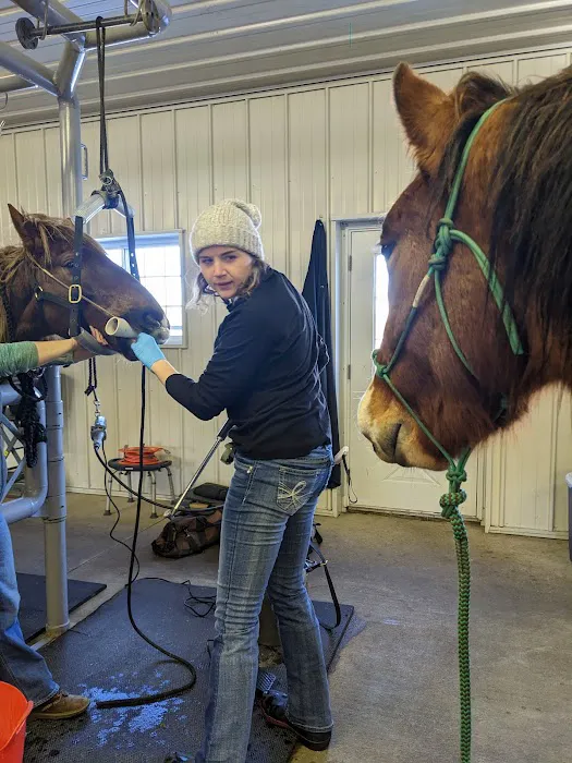 Sunrise Equine Veterinary Services Picture 7