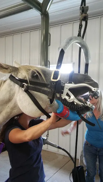 Sunrise Equine Veterinary Services Picture 4