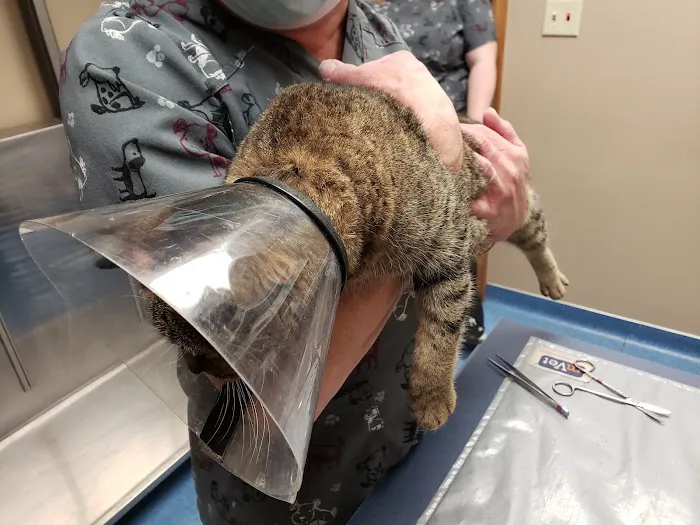 North Branch Veterinary Hospital: Jacobs Doug DVM Picture 1