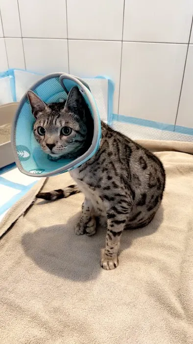 Providence Vet Clinic Picture 2