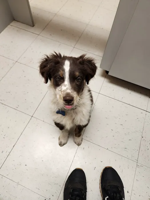 Providence Vet Clinic Picture 1