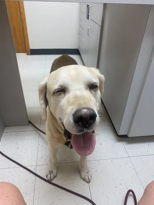 Providence Vet Clinic Picture 6