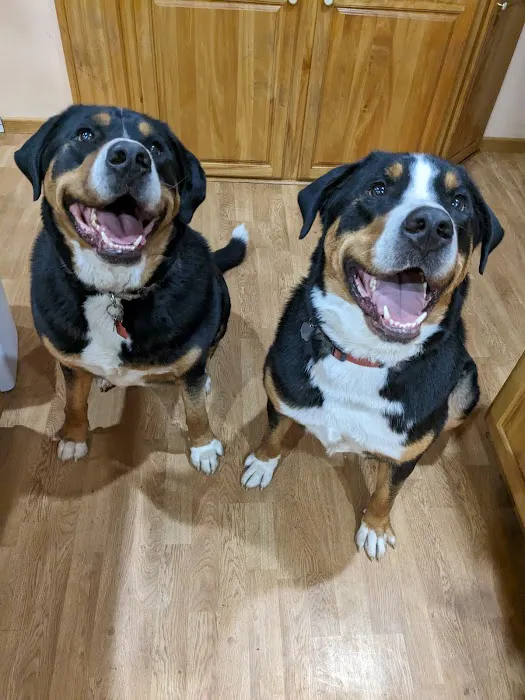 Riverbend Pet Hospital Picture 5