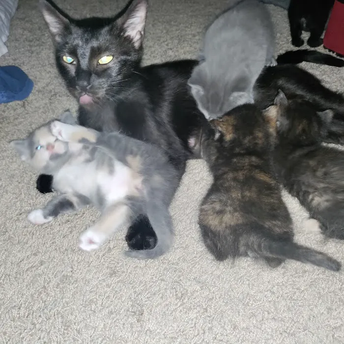 Riverbend Pet Hospital Picture 6