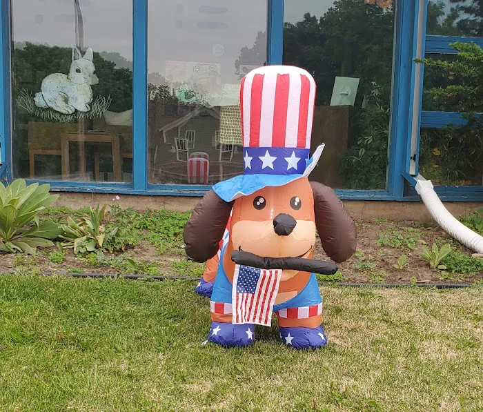 Town & Country Veterinary Services Picture 1