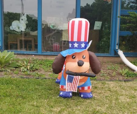 Town & Country Veterinary Services