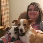 Woodman Julie DVM