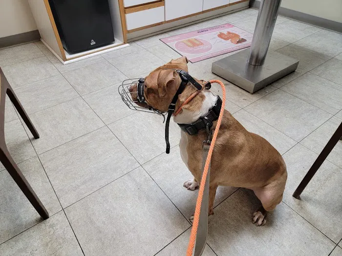 Farmington Veterinary Clinic Picture 5