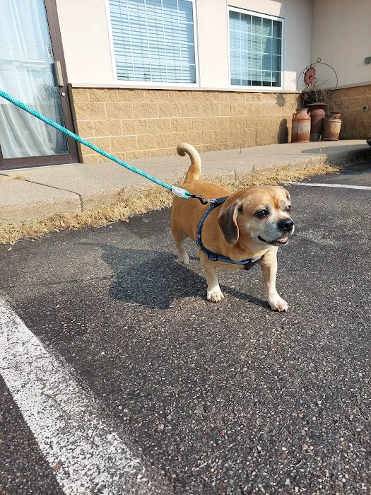 Farmington Veterinary Clinic Picture 9