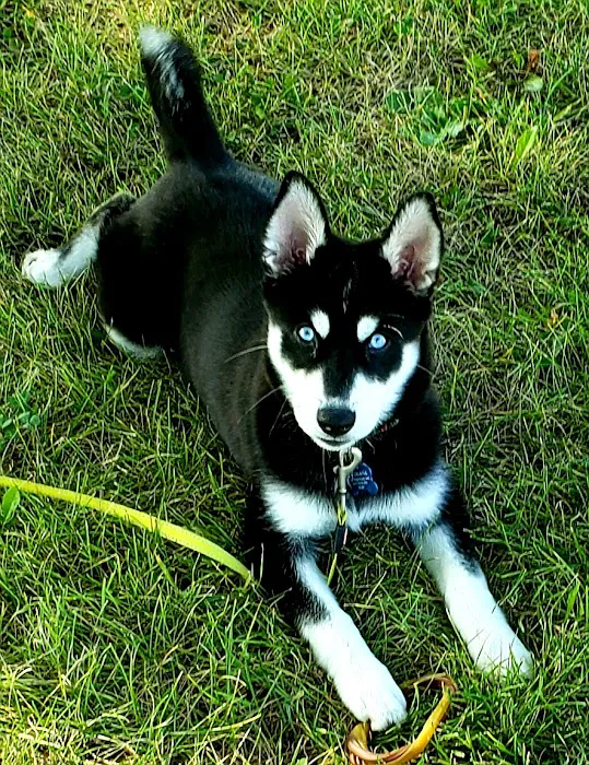 Waconia Veterinary Clinic Picture 3