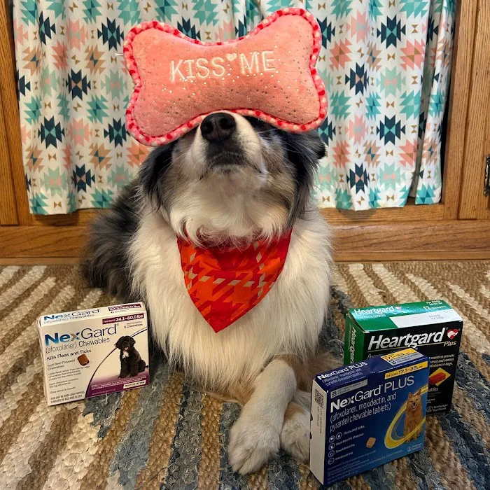 Waconia Veterinary Clinic Picture 9