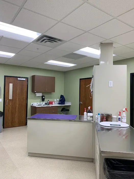Healing Hands Veterinary Hospital Picture 1