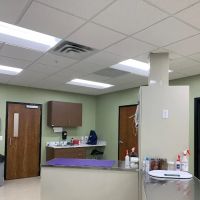 Healing Hands Veterinary Hospital ico