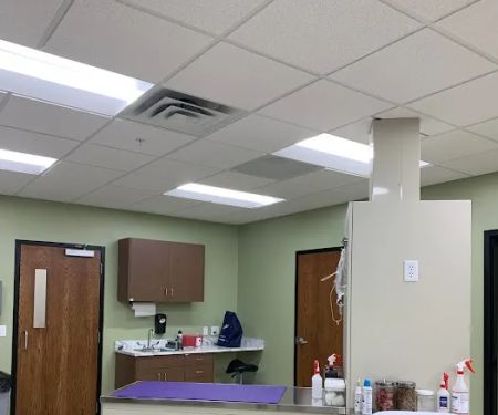 Healing Hands Veterinary Hospital