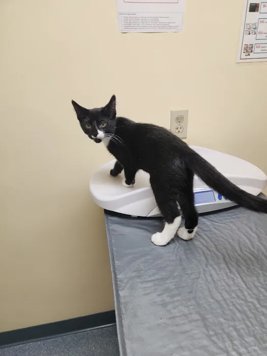 Watertown Veterinary Clinic Picture 1