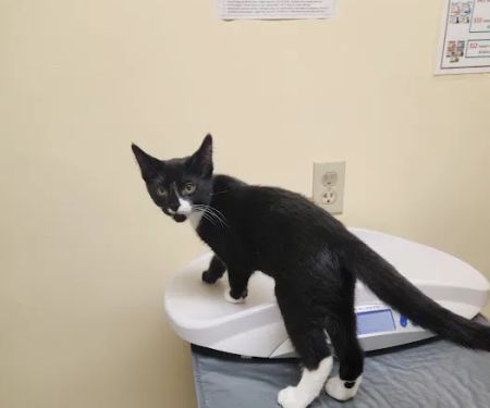 Watertown Veterinary Clinic