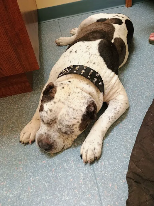 Watertown Veterinary Clinic Picture 8
